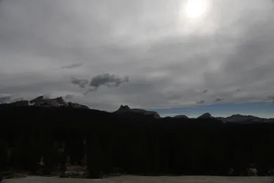 DSC_4442 (Large).JPG